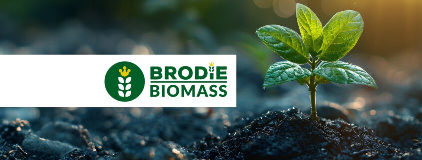 Brodie Biomass
